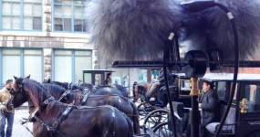 Louis cyr shoot